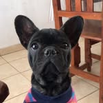 Dana🐶 - @dana_bolinaga - Instagram