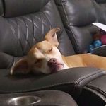 Dana Booth - @danabooth335 - Instagram