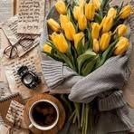 Dana Bolus - Facebook
