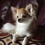 Dana Bowen - @dbowen2013 - Instagram