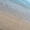 Danabo - @danabox - TikTok