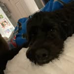 Dana Boynton - @daboynton73 - Instagram