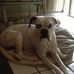 Dana Brager - Facebook