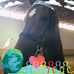Dana Brasher - Facebook