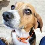 Dana Dougherty Bratton - @doughertybratton - Instagram