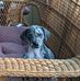 Dana Morrow Brenner - Facebook
