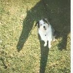 Dana Budd - @budddana - Instagram