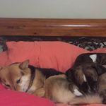 Dana Buddy - @dana_buddy_insta_ - Instagram