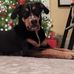 Dana Burton - Facebook