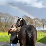 Dana & Casper - @caspers_weg - Instagram