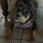 Dana Caudle Braswell - @braswelldana - Instagram