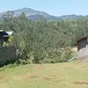 Dañachew - @daachew - TikTok