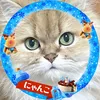 🗽🌴にゃんこ🐈‍⬛🐾 - @dddddanachew - TikTok