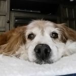 Dana Clarke - @dana.clarke.547 - Instagram