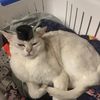 dana_close - @dana_close327 - TikTok