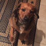 Dana Cobb - @bugzmomi - Instagram