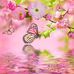 Dana Coffee - Facebook
