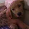 DanaCoffee24 - @danacoffee24 - TikTok