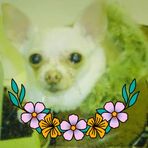 Dana Colson - Facebook