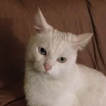 Dana Comstock - @dana.comstock - Instagram