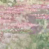danae - @danacone - TikTok