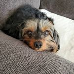 Dana Connolly - @danamcon68 - Instagram