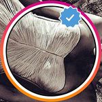Dana Cross - @danacross2954 - Instagram