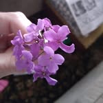 Dana Crowell - @crowell.dana - Instagram