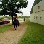 Dana Dailey - @doubled.dd.danadailey - Instagram