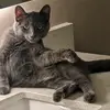 danadailey607 - @danadailey607 - TikTok