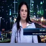 dana david - @taabura_law - Instagram