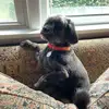 danadavidson716 - @danadavidson716 - TikTok
