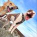 Dana Emery - Facebook
