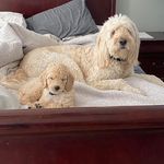 Dana Freeman Emery - @dmemeryakn - Instagram