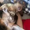 danafall - @danafell - TikTok