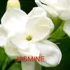 Danafall - @sampo030619 - TikTok