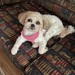 Dana Flexon - Facebook