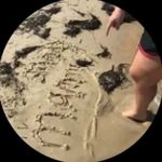 Dana Flood Hilderbrand - @danahil.derbrand - Instagram