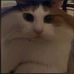 Dana Forney - Facebook