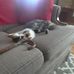 Dawn A Forney - Facebook