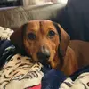 dana.frame - @itz.erin.spamz - TikTok