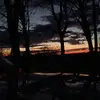 Dana - @danafreeland02 - TikTok