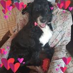 Dana Gardiner - @dana.gardiner.5 - Instagram