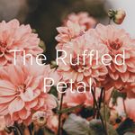 Dana Gillette.Floral Designer - @theruffledpetal - Instagram