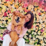 Dana Gioia - @mammarazzi19 - Instagram