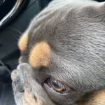 Dana Gioiosa - @dana.gioia80 - Instagram