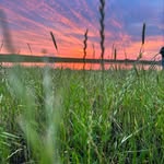 Dana Goldsmith - @dgoldsmith78 - Instagram