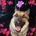 Dana Grass - Facebook
