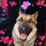 Dana Grass - @danagrass - Instagram
