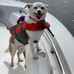 Dana Gratton - Facebook